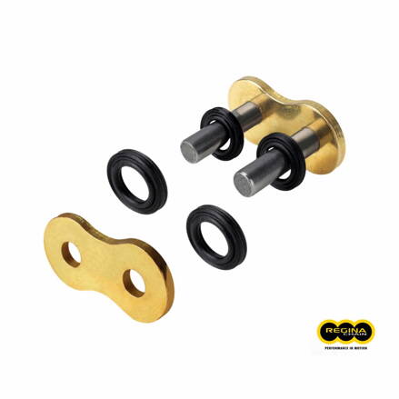 REGINA NIETSCHLOSS 19/137ORS ORS3