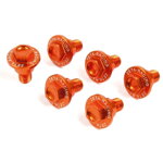 ZETA Aluminium Schraubenset für Gabelschutz